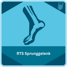 Load image into Gallery viewer, Velamed Application "RTS Ankle"