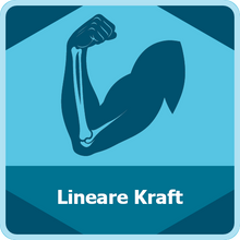 Lade das Bild in den Galerie-Viewer, Velamed Applikation "lineare Kraft"