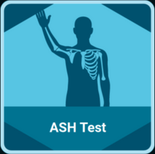 Lade das Bild in den Galerie-Viewer, Velamed Applikation &quot;ASH&quot;
